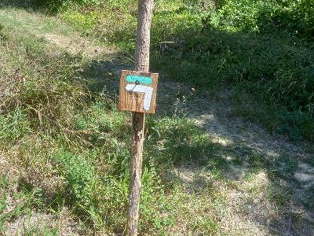 Balise artisanale de notre sentier privé, traversant le bois avec un magnifique point de vue sur Lauzerte et sa vallée, avant de rejoindre le GR65, Chemin de Compostelle. Accès direct et paisible à pied, idéal pour marcheurs et pèlerins