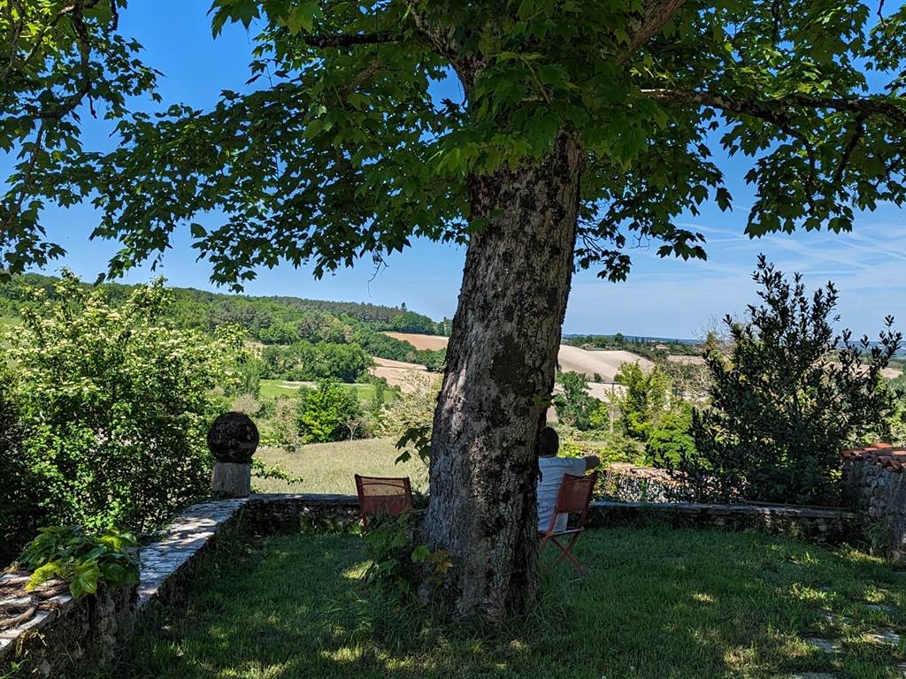 PXL_20240608_133548198