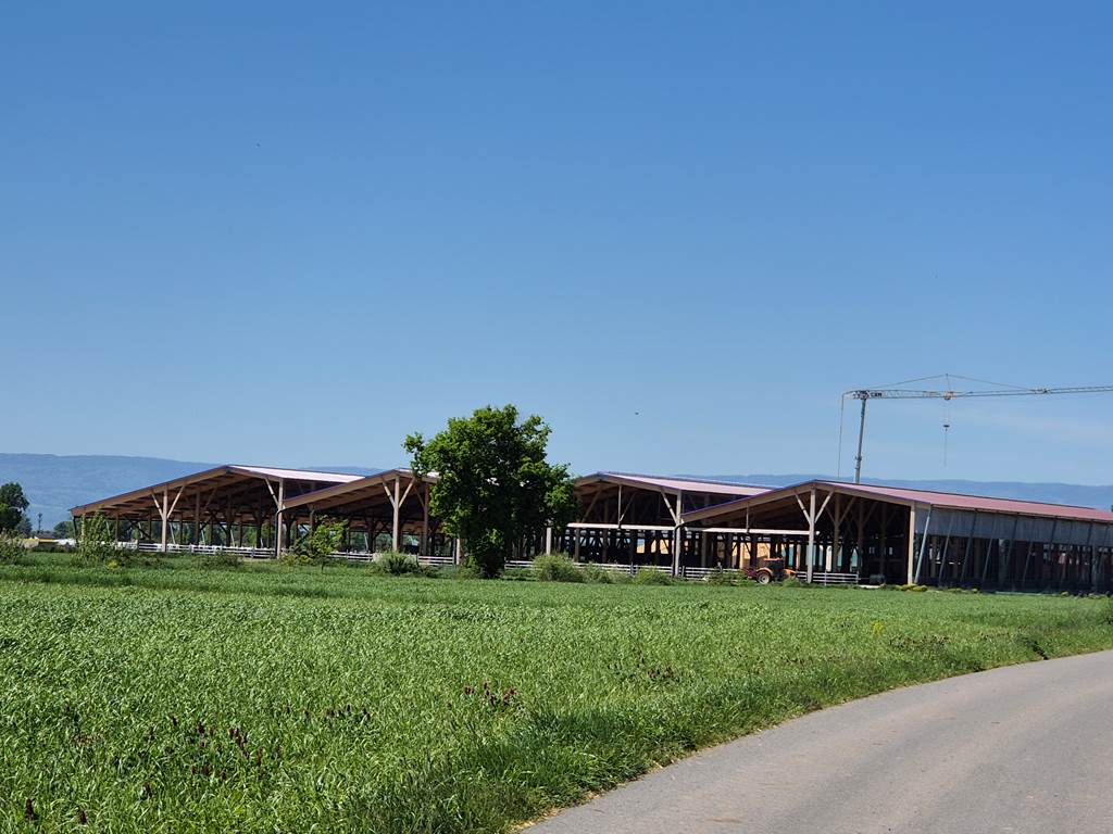 Ferme des Délices Foréziens Loire