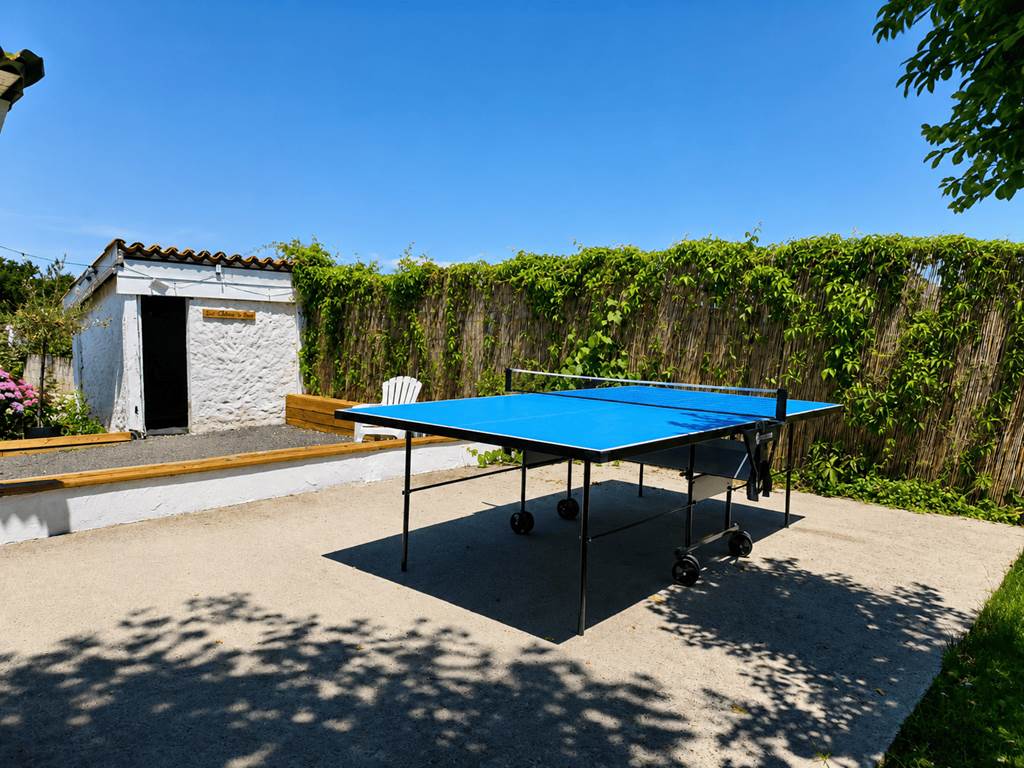 PING PONG