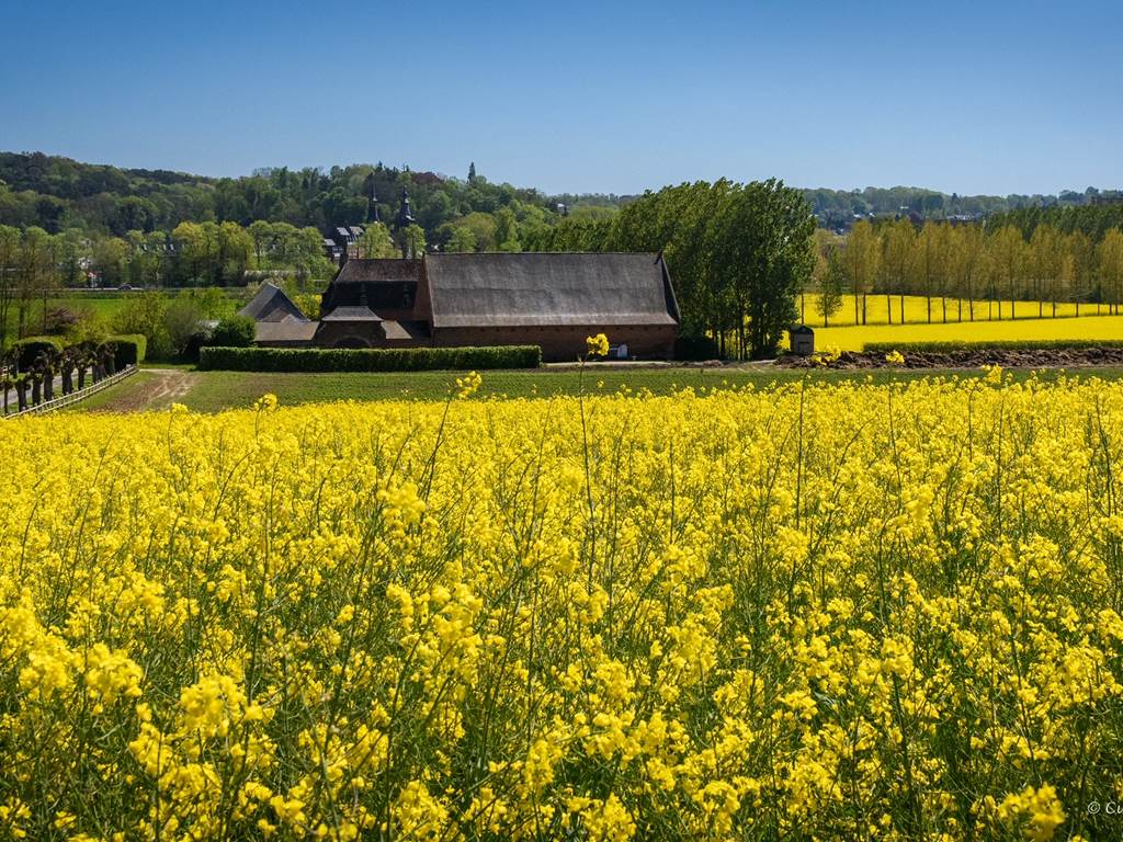 Ferme vu du hait avec Colza