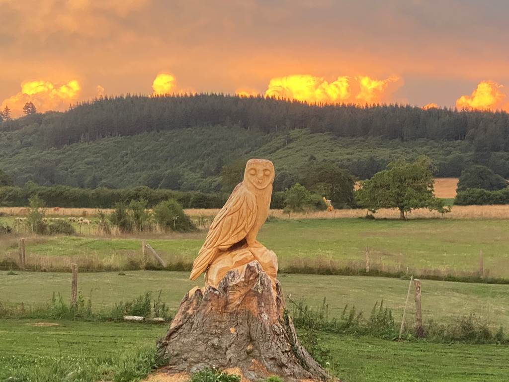 Les terres de la chouette, émerveillement devant la créativité de la nature