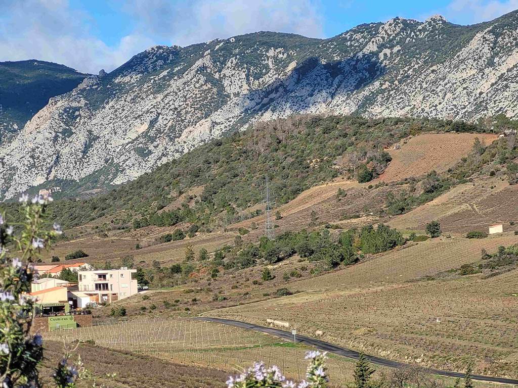 domainelatoupie-chambredhote-roussillon-oenotourisme