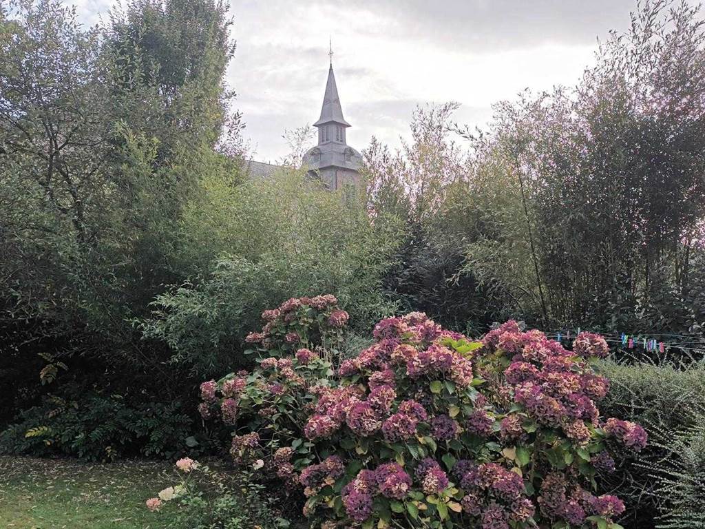 Chambre d'hôtes n°22G320896 "Le Clos des Hortensias" – PLEMY