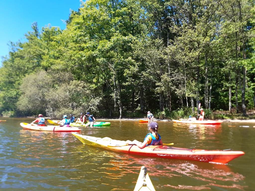 314298082_5663888563725454_4627565048130315937_n