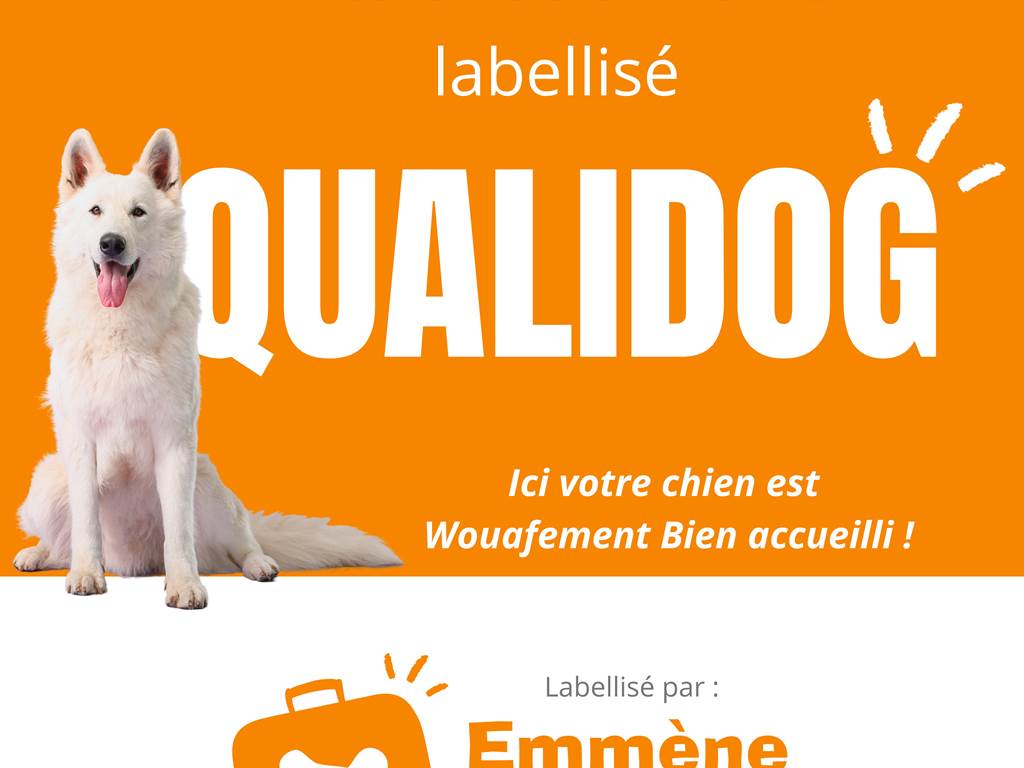 QUALIDOG