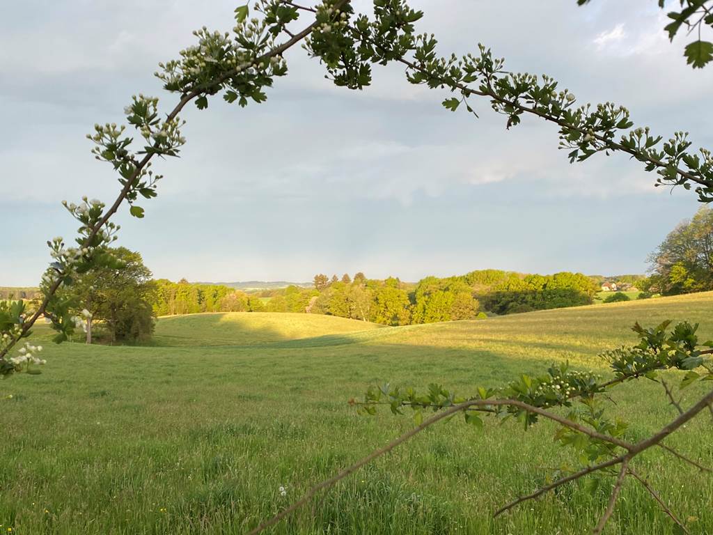 Les terres de la chouette, le charme des paysages du Limousin
