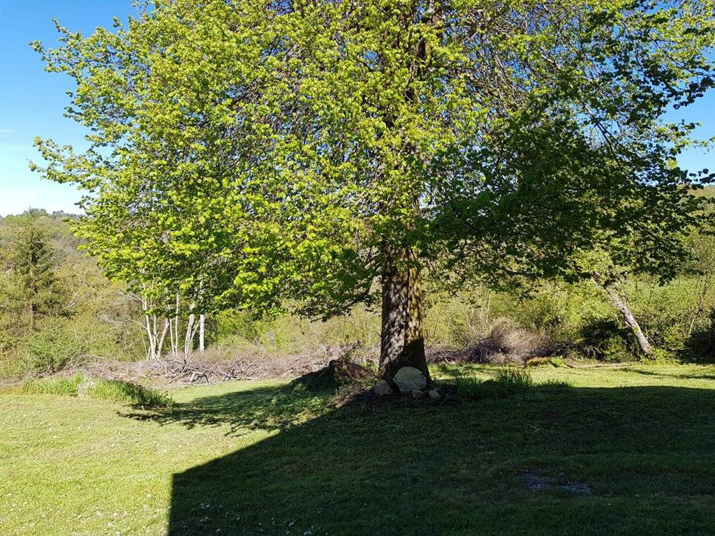 Gîte n°19G4101 – GOURDON MURAT