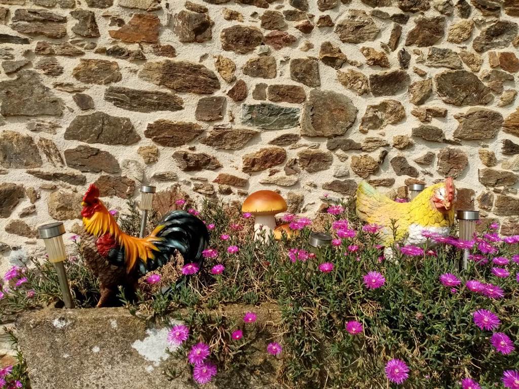 Gîte n°19G1162 "Gîte La Libellule" – SAINT SALVADOUR