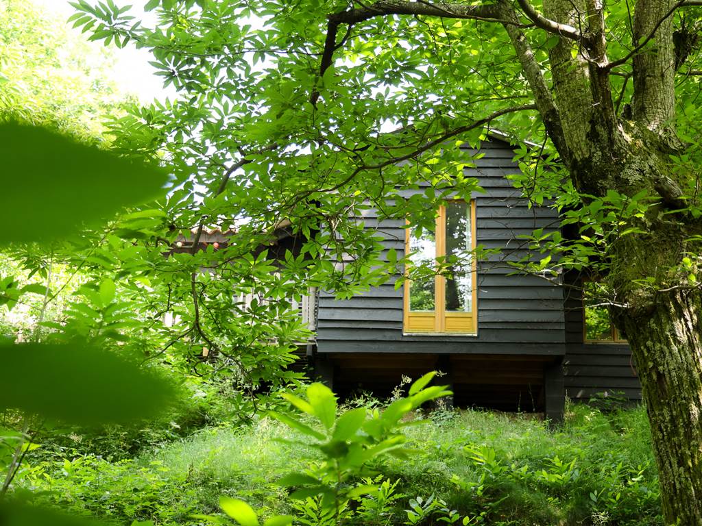 Vue en contrebas du chalet Canopée