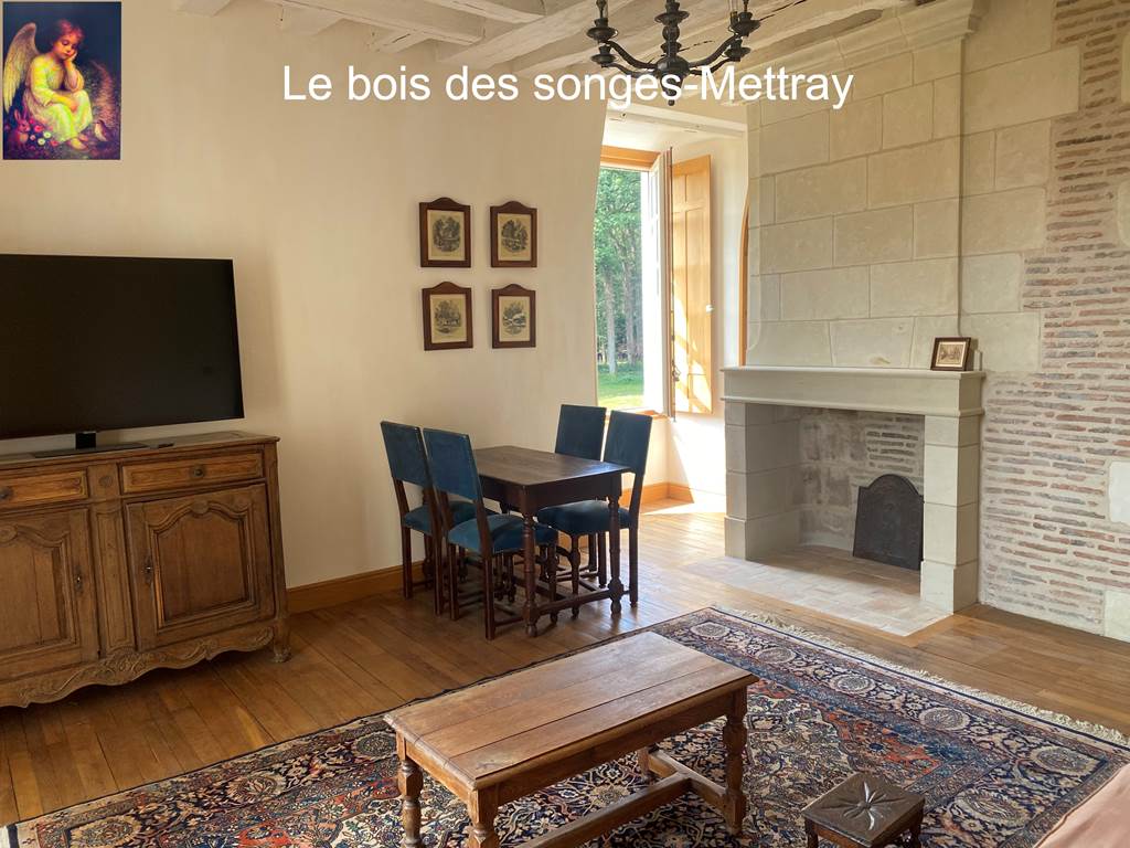 Se´jour avec chemine´e F