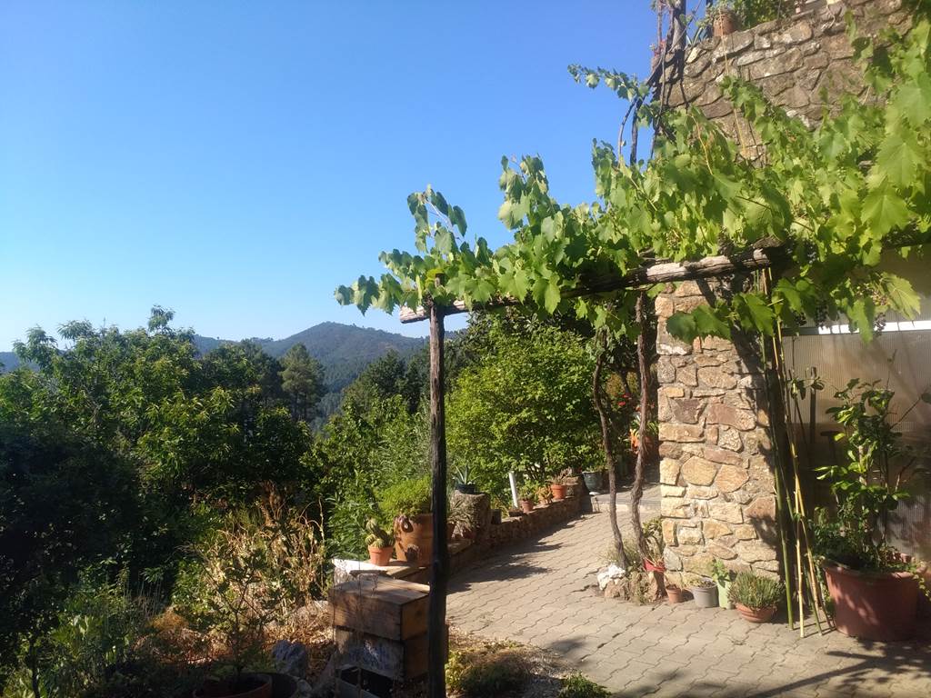Le Jardin