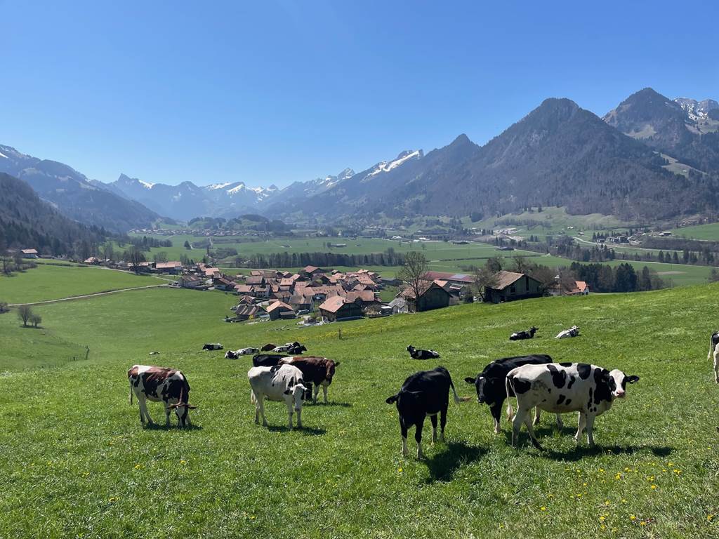 Vue au-dessus de la maison