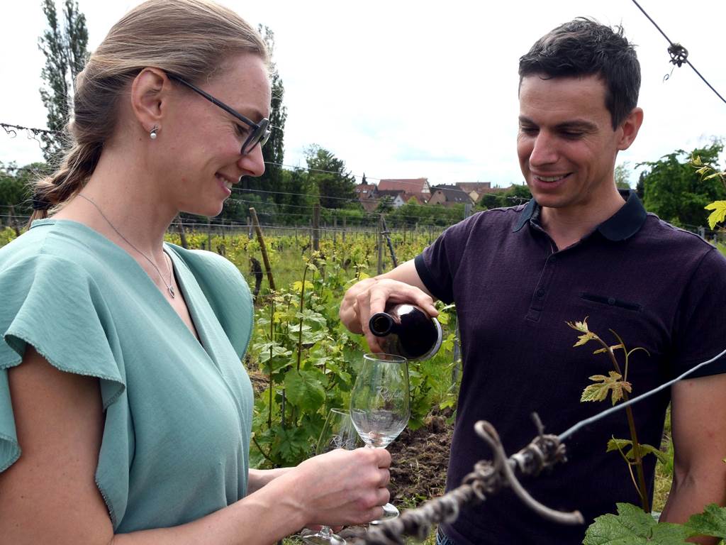 Domaine Rosfelder _6