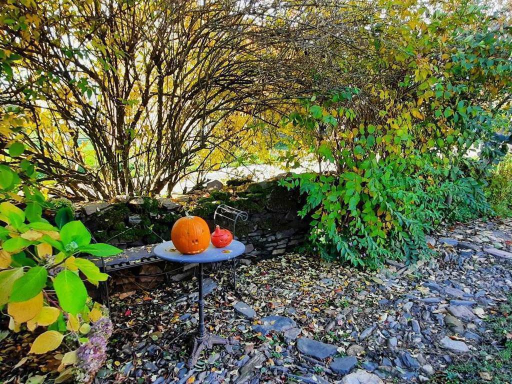 Gîte n°19G1117 "Gîte des papous" – SAINT JAL