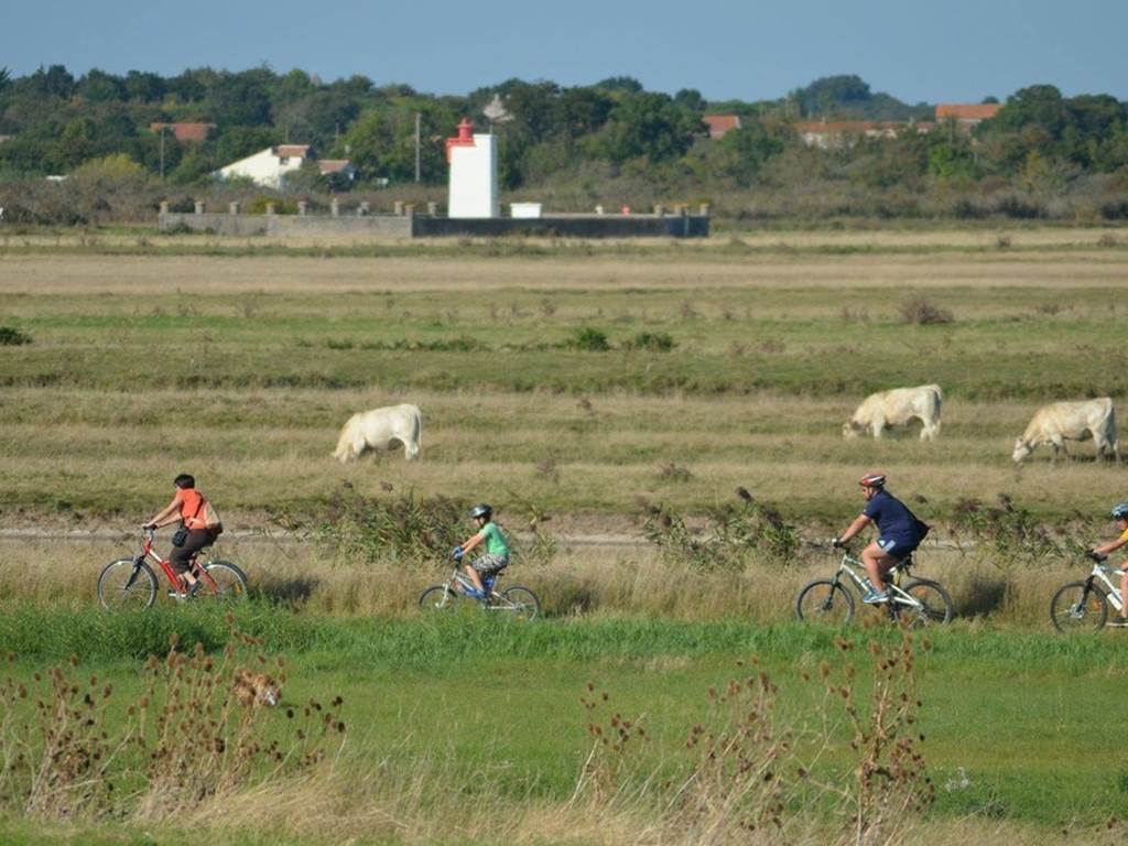 Balade à vélo de l'estuaire au marais
