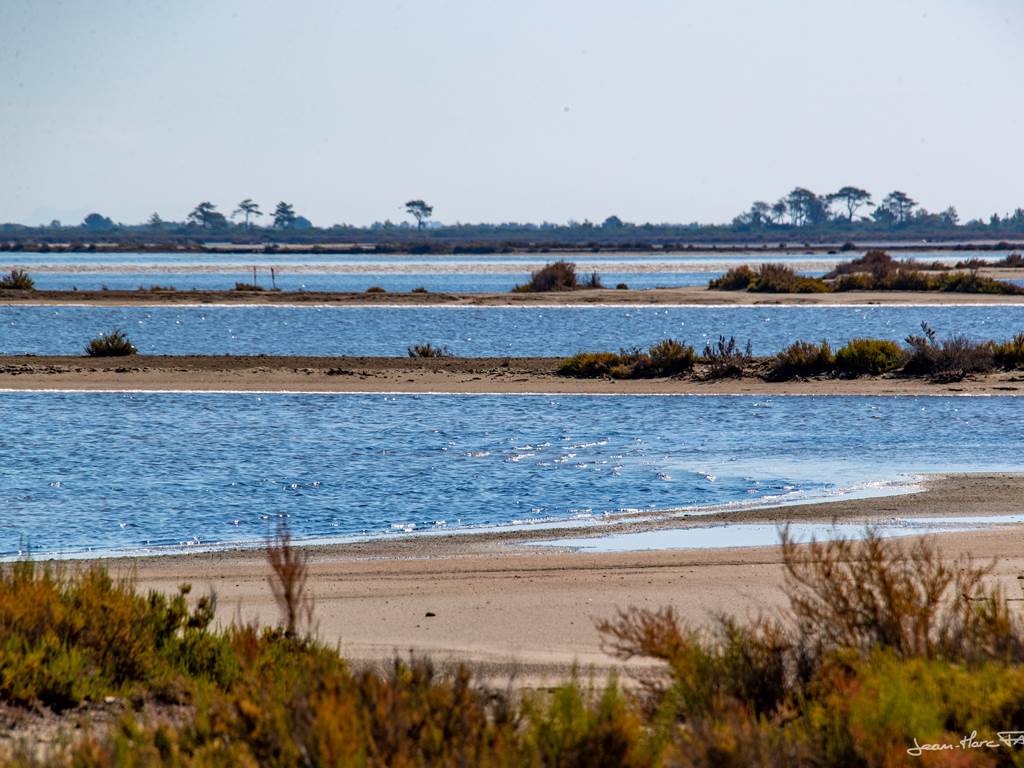 stationbee's-locations-velos-aigues-mortes