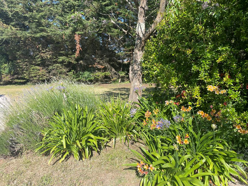 jardin3
