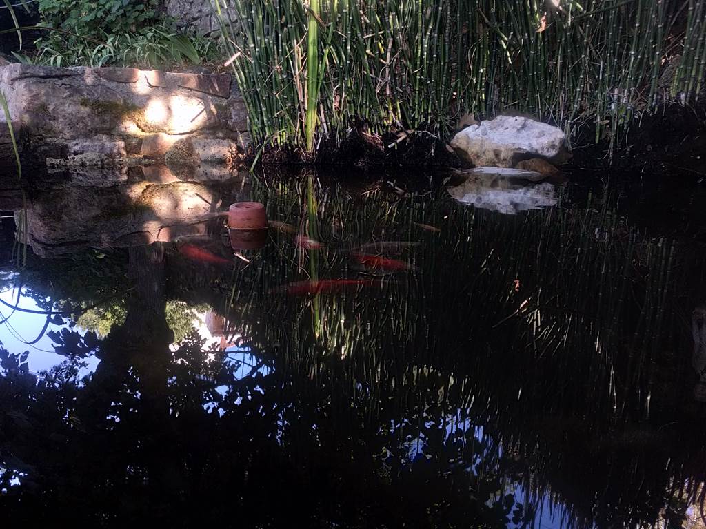 Le Jardin