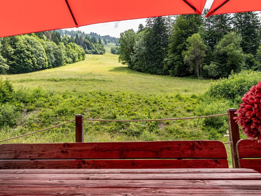 La terrasse avec vue