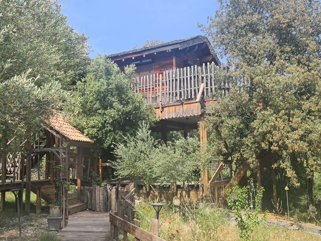 cabane dans l'arbre