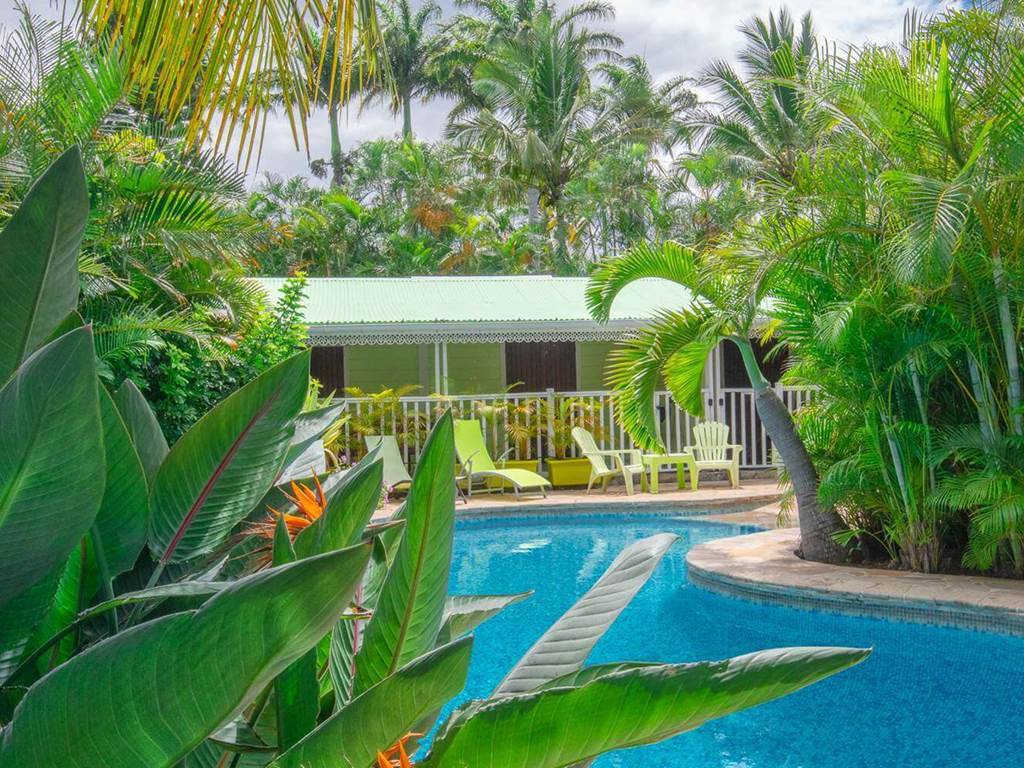 piscine-logement-baobab-et-palmier