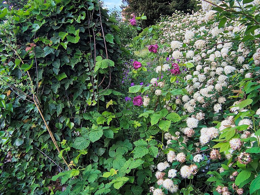 Le printemps fleurit le jardin