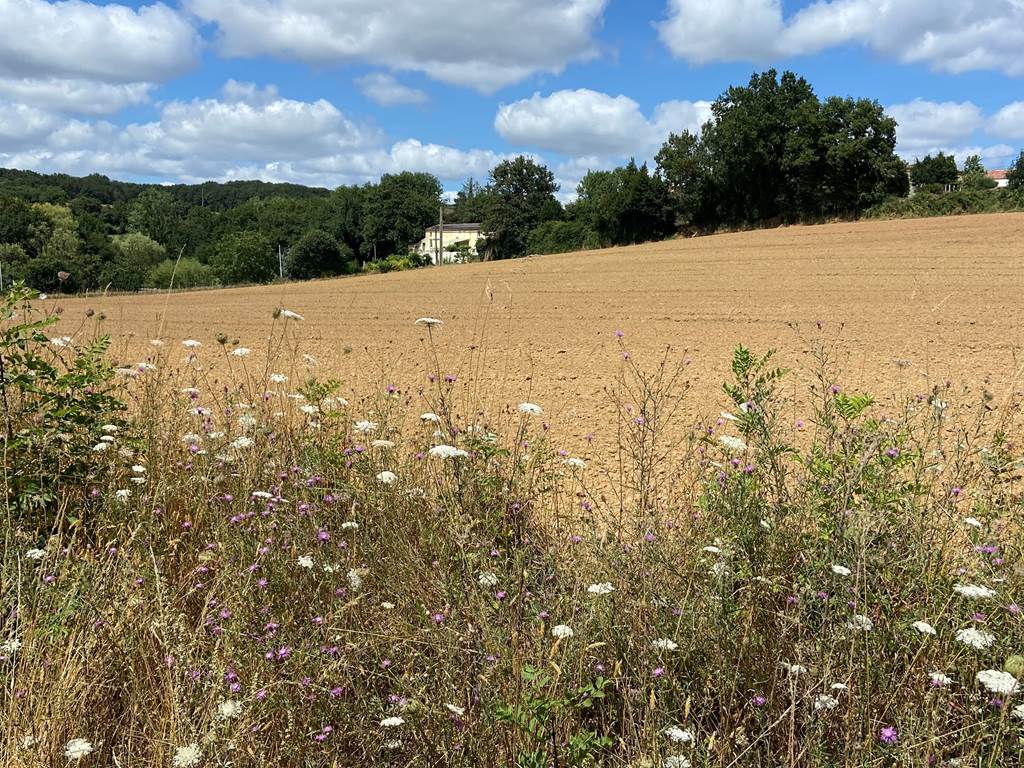 Longère à la campagne