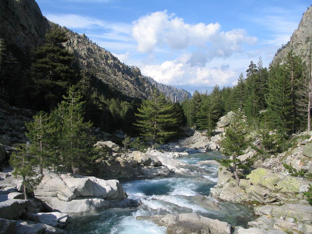Rivière Restonica
