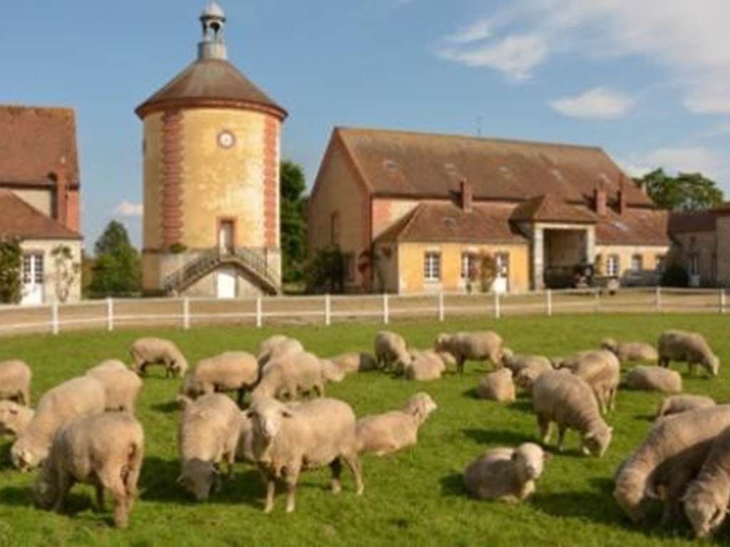 Location-de-gite-pour-sejour-a-la-campagne