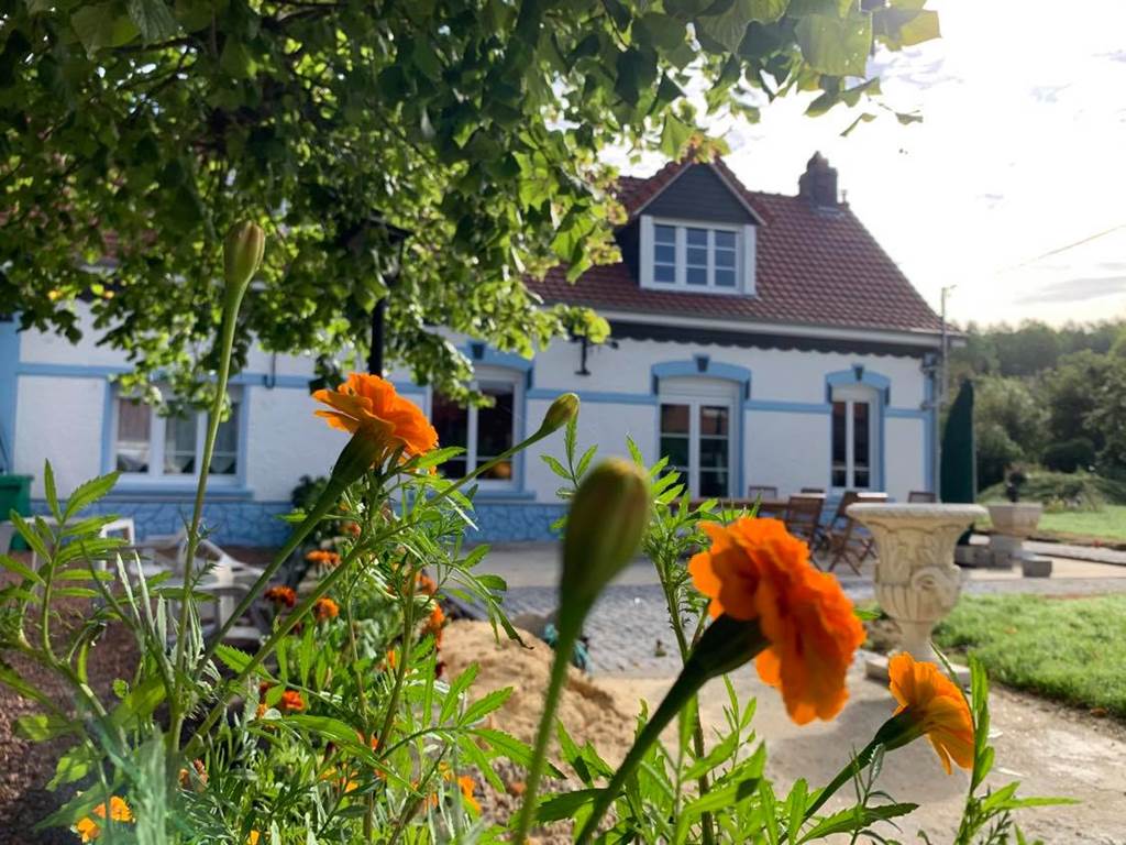 Le charme d’un gîte paisible, entouré par la nature.