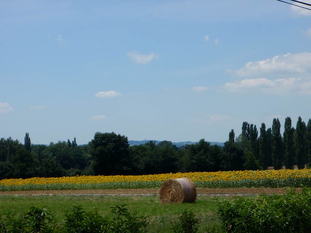 P7160120
