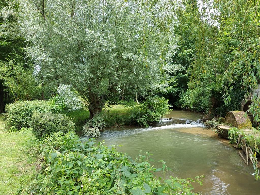 La Planquette murmure au pied du gîte, ajoutant au charme bucolique du lieu.