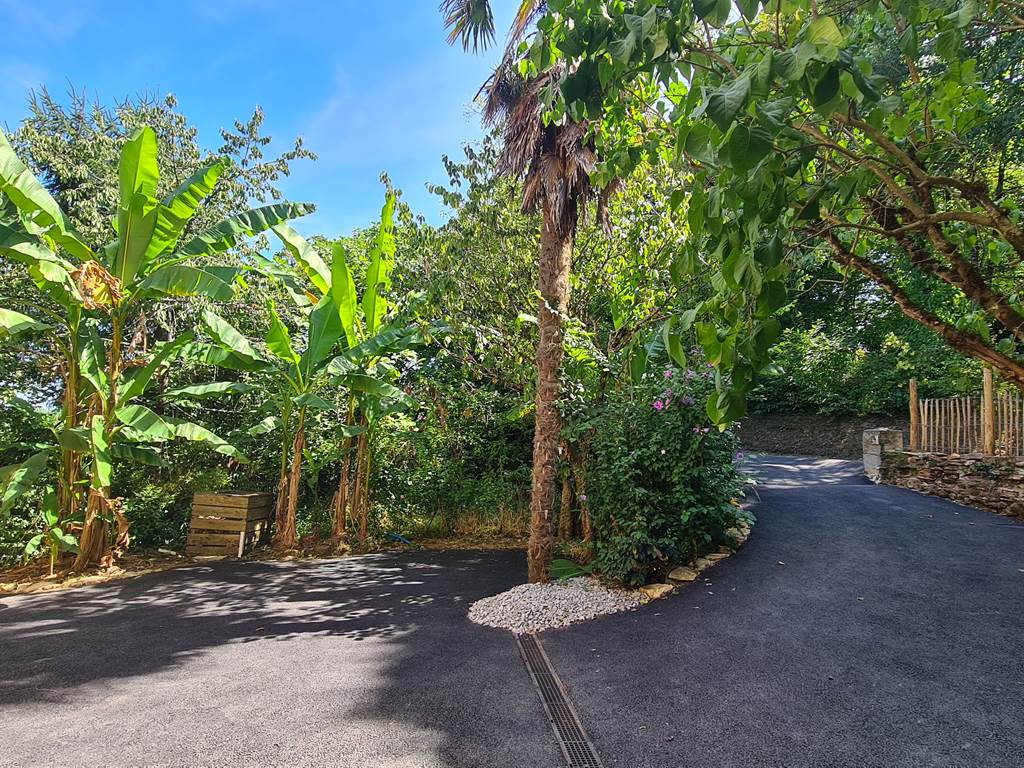 jardinnaturel/palmiers/bananiers