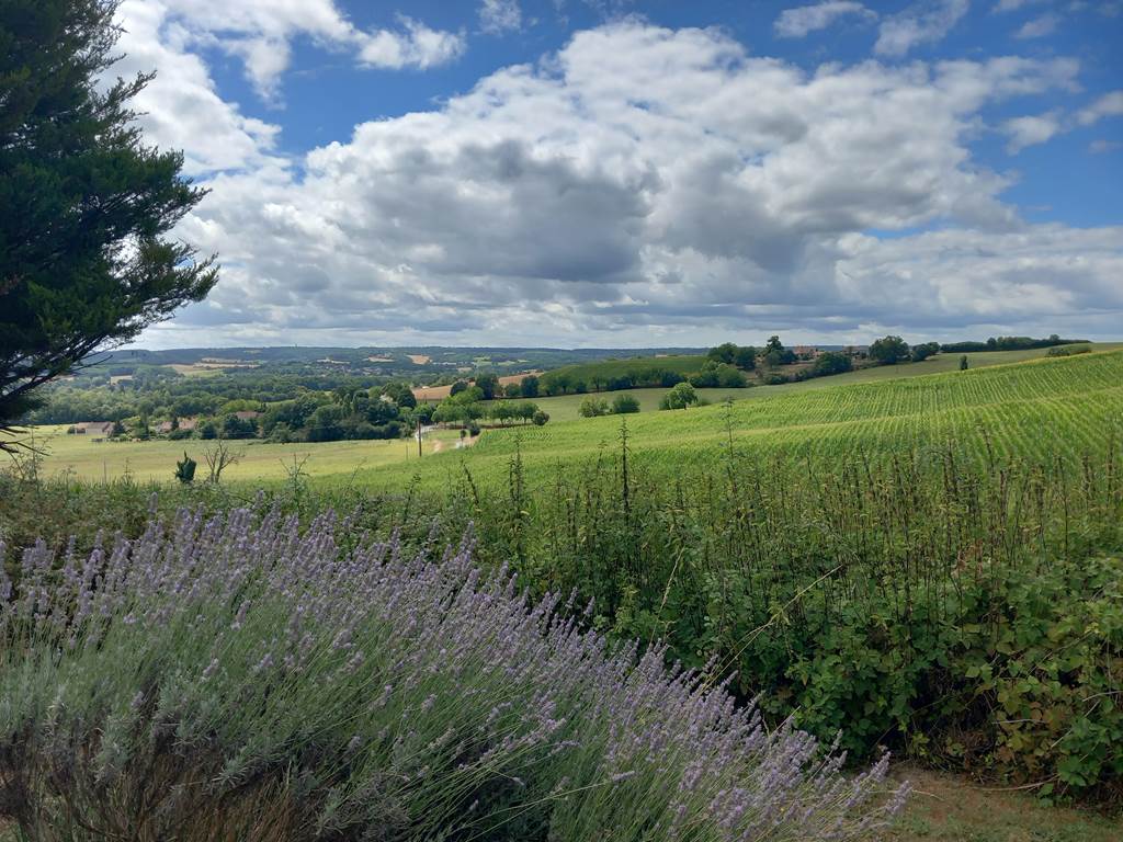 Vue campagne environnante