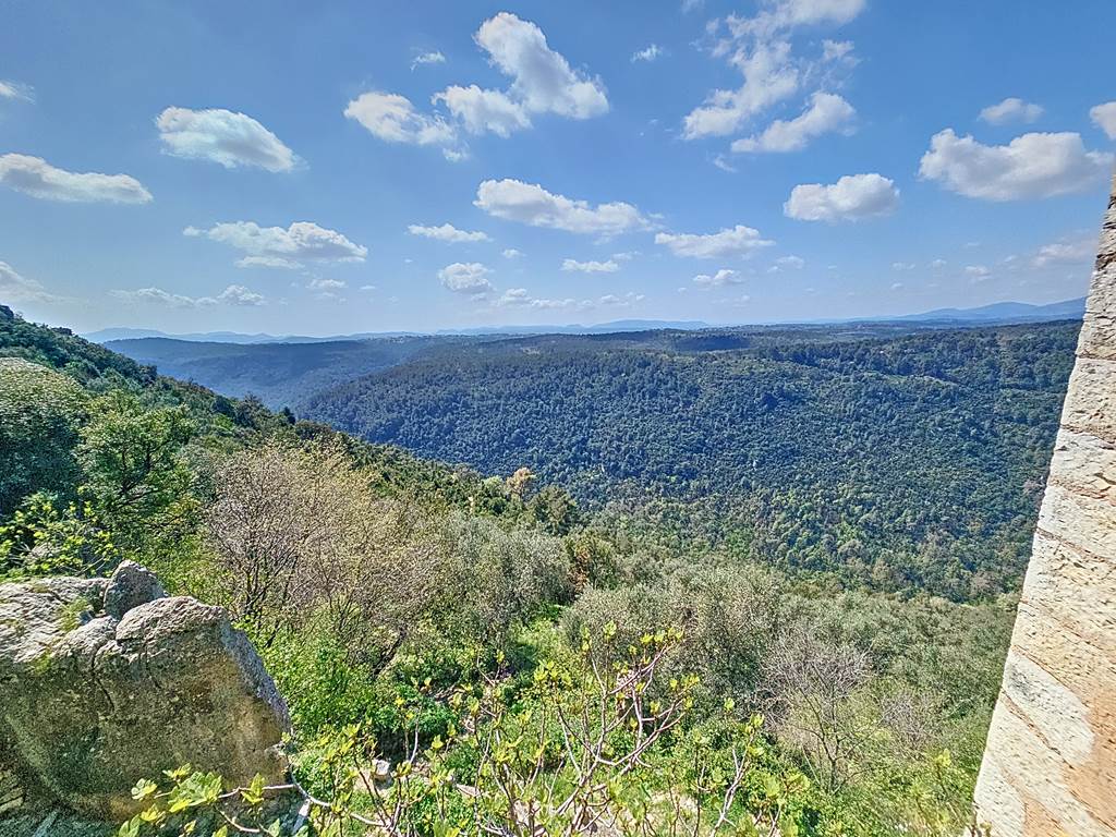 jennifer_00003_3102de3