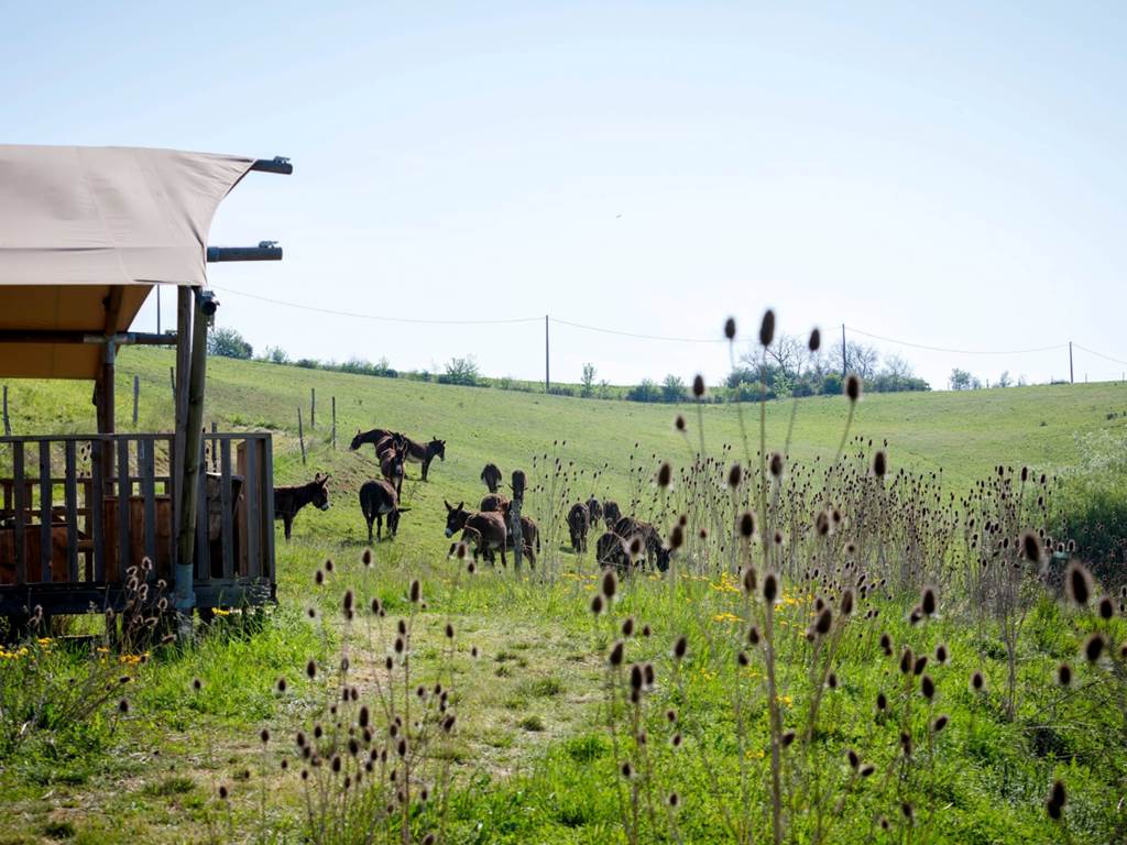 extérieur écolodge sunshine