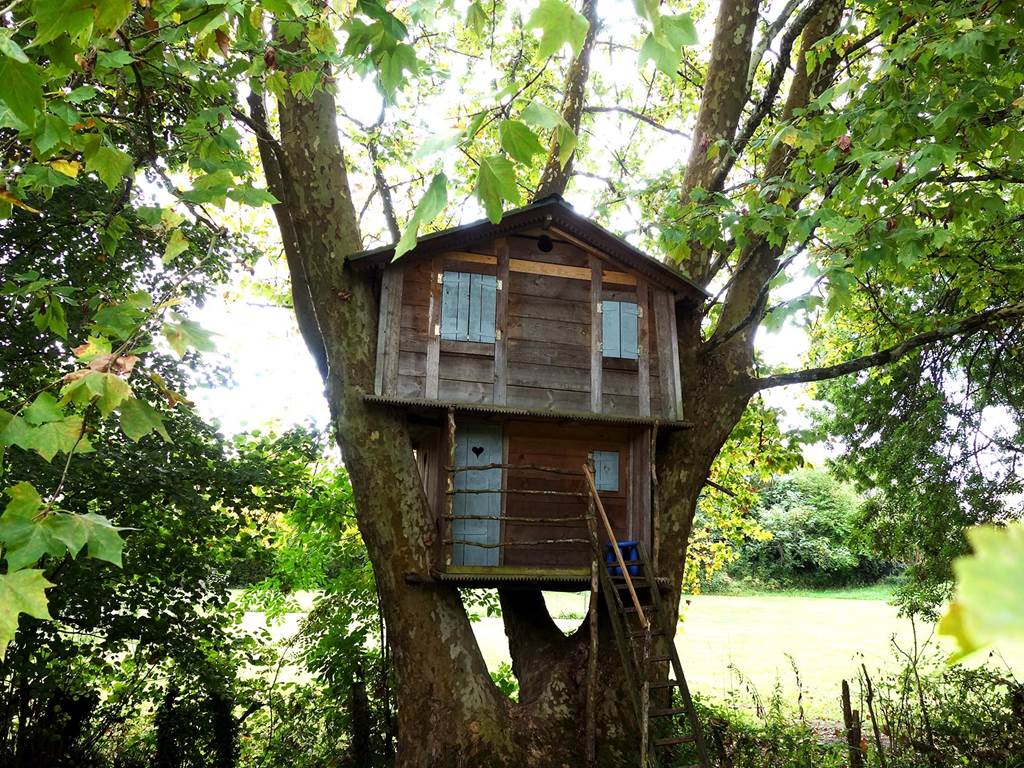 La cabane du grand platane