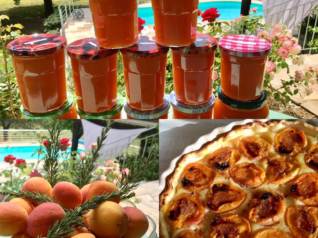 abricots confitures tarte maison d'hôtes Feuillantines dordogne