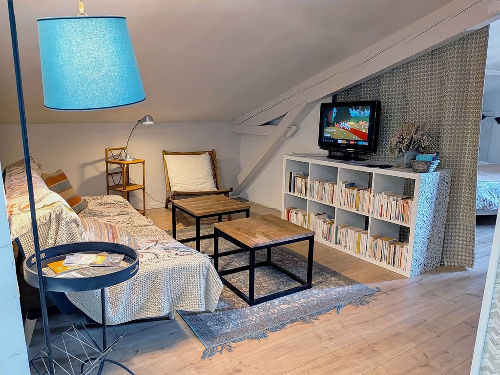 salon TV NETFLIX 16 Bis gite hotel-marssac-albi
