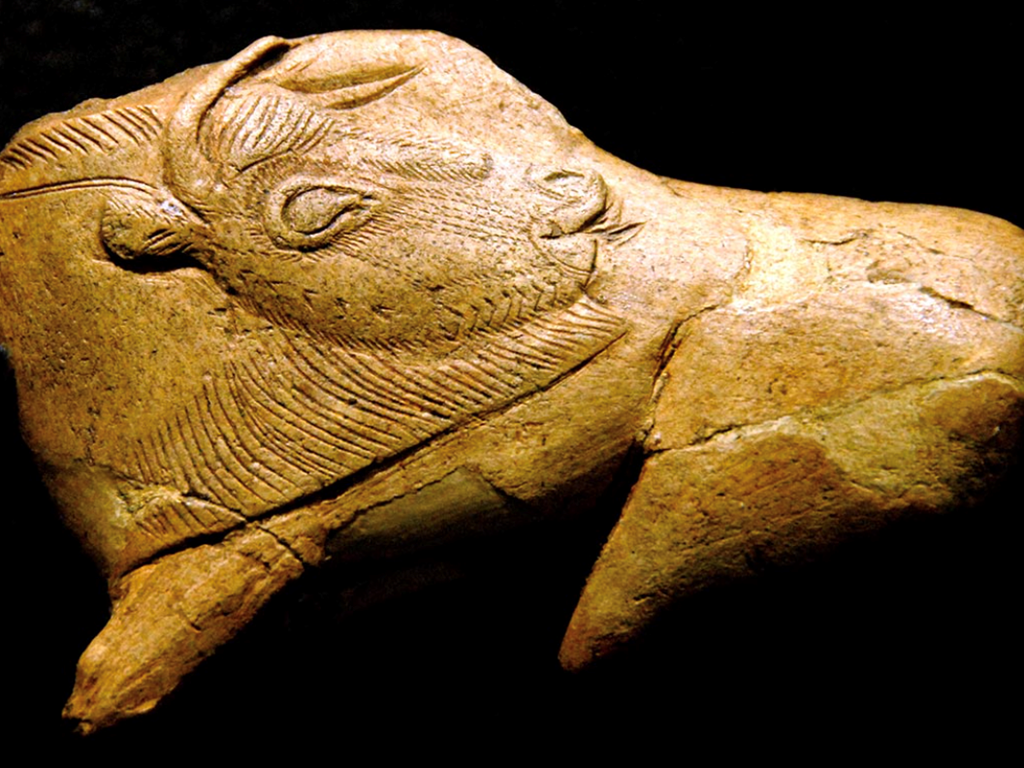 Le Bison de la Madeleine, (Musée de la Préhistoire des Eyzies)