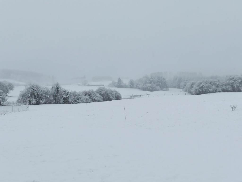 L'Oasis sous la neige