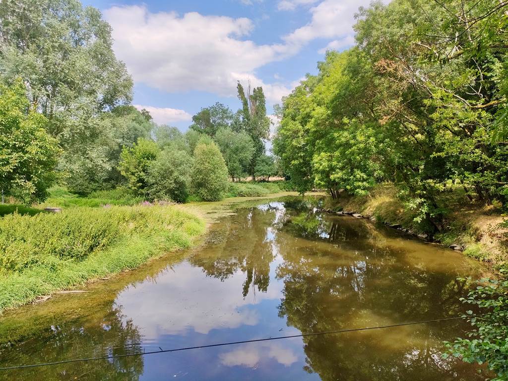 bourogne-tourisme-campingcar-atypique-original-rivière-tournus-eaunes-cluny-solutré-vignes-vignobles-macon-vélo-randonnée-prochedelyon-france-saoneetloire-famille-avecenfants-allinclusive-messeugne-savignysurgrosnes-cathédrales-brancion-pleinair-camping-restaurant-patrimoine-activités-gastronomie-vins-châteaux-randonnée-convivialité-jeuxpourenfants-animations-bistrot-chaleureux-menu-restauration-cuisinefrançaise-bourguignon-vacances-convivialité-71-voiebleu-voieverte