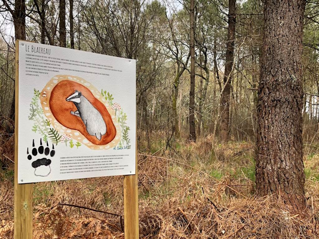 Panneau pédagogique sur la faune et la flore