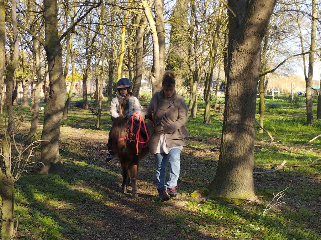 balade à poney Pyrénées-Orientales  promenade poney 66  activité enfant Pyrénées-Orientales  poney club 66  centre équestre Pyrénées-Orientales  balade à cheval 66  activité famille Pyrénées-Orientales  équitation enfant 66  balade à poney près de Perpignan  balade à poney bompas, claira, toreilles, barcares, canet en roussillon, sainte marie, Thuir, Pézilla, elne, cabestany, rivesaltes, saint estève