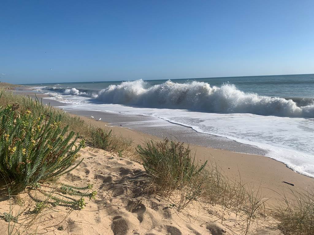 Plage de Montamer