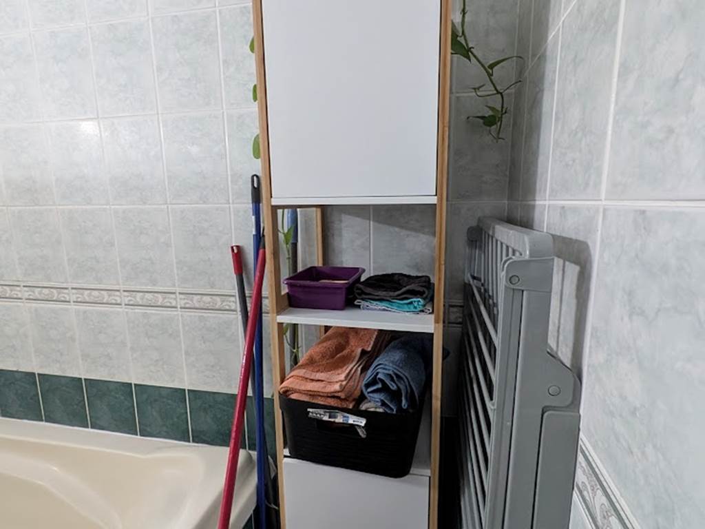 T2 Frangipanier , meuble et plante salle de bain