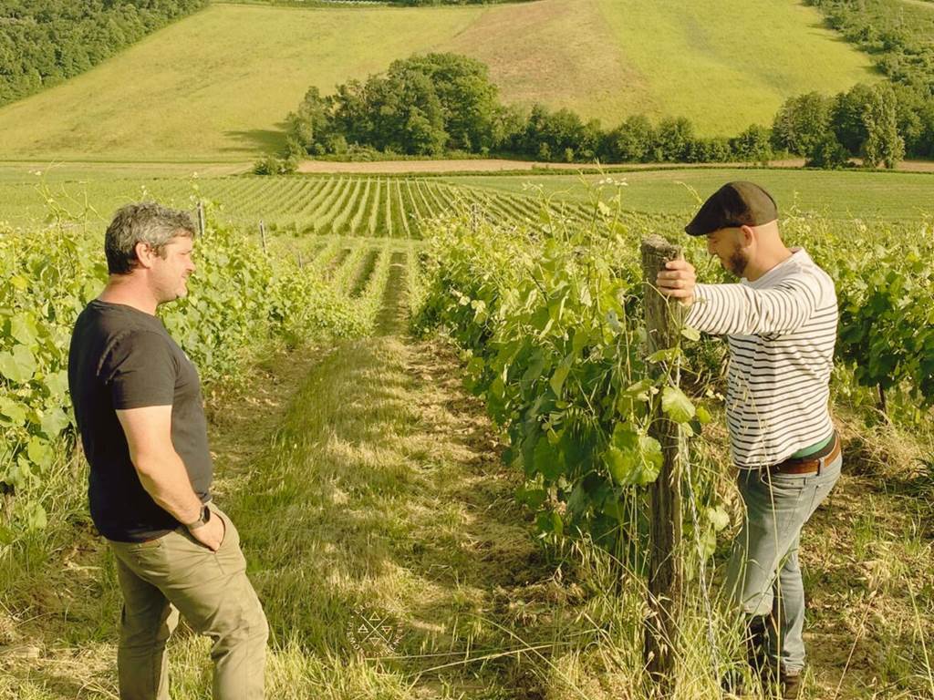 Domaine Laougué visite dans les vignes