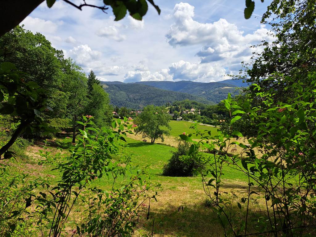 paysage été chauvelin