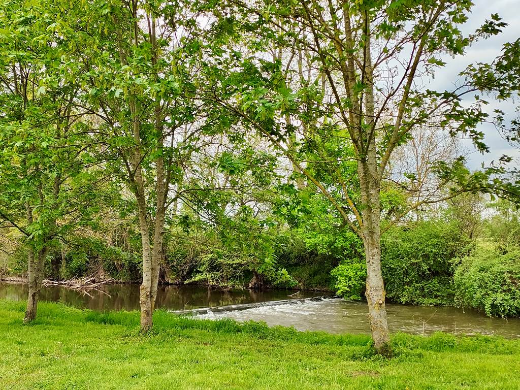 bourogne-tourisme-campingcar-atypique-original-rivière-tournus-eaunes-cluny-solutré-vignes-vignobles-macon-vélo-randonnée-prochedelyon-france-saoneetloire-famille-avecenfants-allinclusive-messeugne-savignysurgrosnes-cathédrales-brancion-pleinair-camping-restaurant-patrimoine-activités-gastronomie-vins-châteaux-randonnée-convivialité-jeuxpourenfants-animations-bistrot-chaleureux-menu-restauration-cuisinefrançaise-bourguignon-vacances-convivialité-71-voiebleu-voieverte